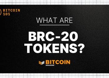 What Are BRC-20 Tokens? An Introduction