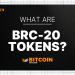 What Are BRC-20 Tokens? An Introduction