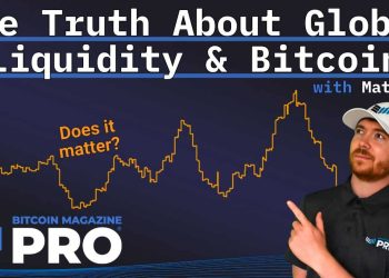 How Global Liquidity Fuels Bitcoin Price Growth